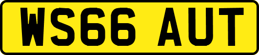 WS66AUT
