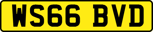 WS66BVD