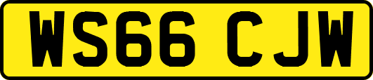WS66CJW