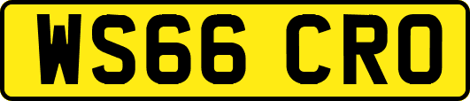 WS66CRO