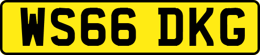 WS66DKG
