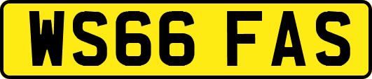 WS66FAS