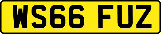 WS66FUZ
