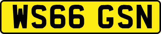WS66GSN