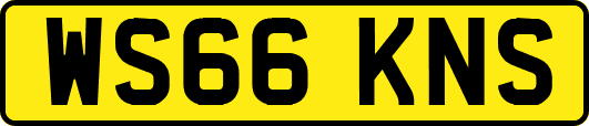 WS66KNS