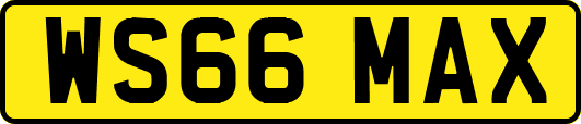 WS66MAX
