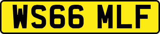 WS66MLF