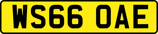 WS66OAE