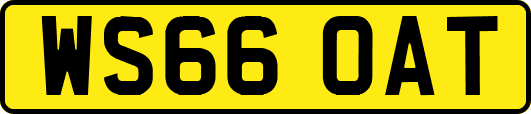 WS66OAT