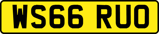WS66RUO
