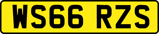 WS66RZS