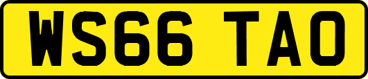 WS66TAO