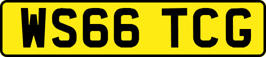 WS66TCG