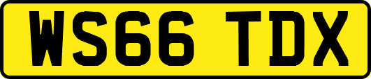WS66TDX