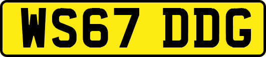 WS67DDG