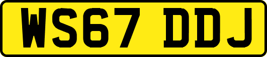 WS67DDJ