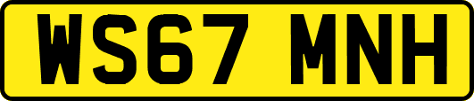 WS67MNH