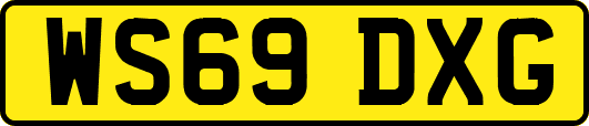 WS69DXG