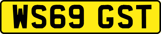 WS69GST