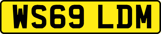 WS69LDM