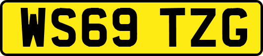WS69TZG