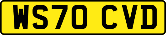 WS70CVD