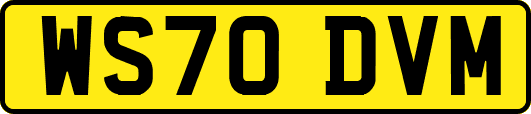 WS70DVM