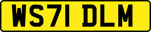 WS71DLM