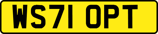 WS71OPT