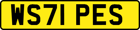 WS71PES