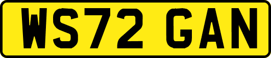 WS72GAN