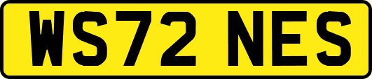 WS72NES