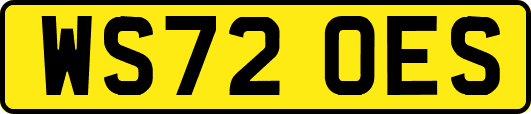 WS72OES