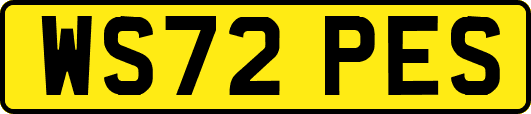 WS72PES