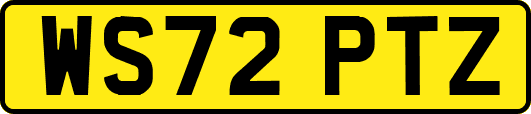 WS72PTZ