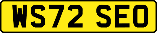 WS72SEO