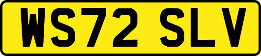 WS72SLV