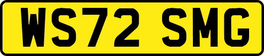 WS72SMG