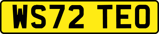 WS72TEO