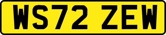 WS72ZEW