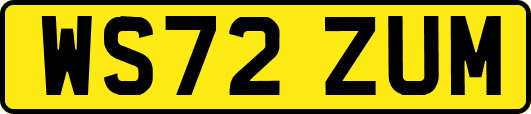 WS72ZUM