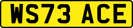 WS73ACE