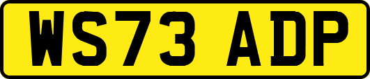WS73ADP