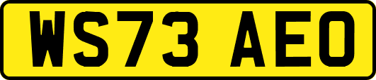WS73AEO