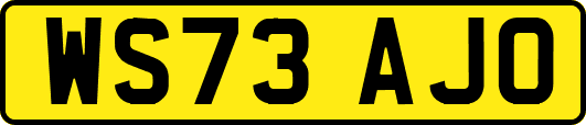 WS73AJO