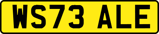 WS73ALE