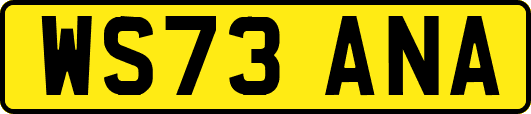 WS73ANA