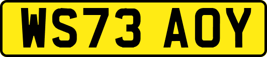 WS73AOY