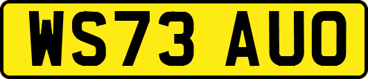 WS73AUO