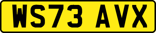 WS73AVX